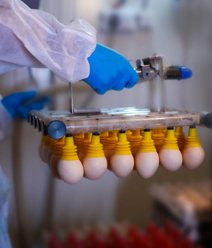 Perfect Poultry Products